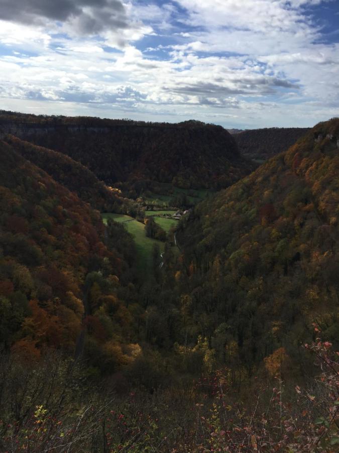 Gite Des Reculees Ladoye-sur-Seille Екстериор снимка